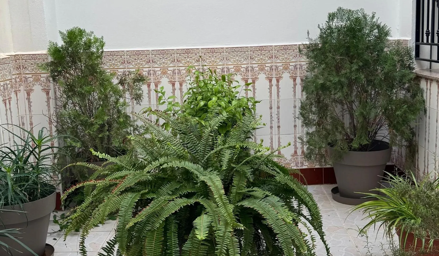 Hotel Ciudad Pozo Alcon 2*,  Spain